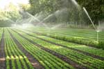 hobby-farm-garden-irrigation-systems