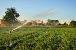 DuCaR B25 ECON low pressure irrigation sprinkler