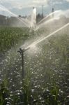 DuCaR B25 ECON fixed system irrigation sprinkler