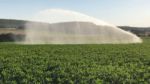 Green 150 Sprinkler for perfect irrigation