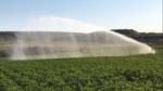 Stop hammering your crop with Green 150 Sprinkler