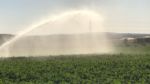 Perfectly even water distribution with DuCaR Gear Driven Sprinklers
